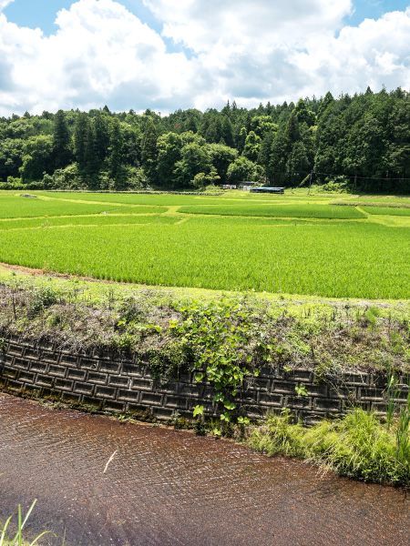 みかげ石プロジェクト