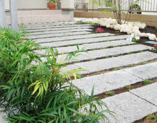 目地の植栽が育てば野の小径のように