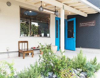 HAIR & BEAUTY CLOVER